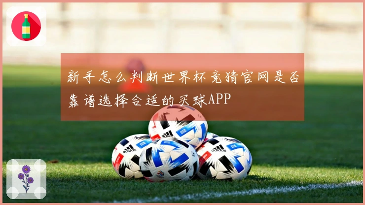 新手怎么判断世界杯竞猜官网是否靠谱选择合适的买球APP