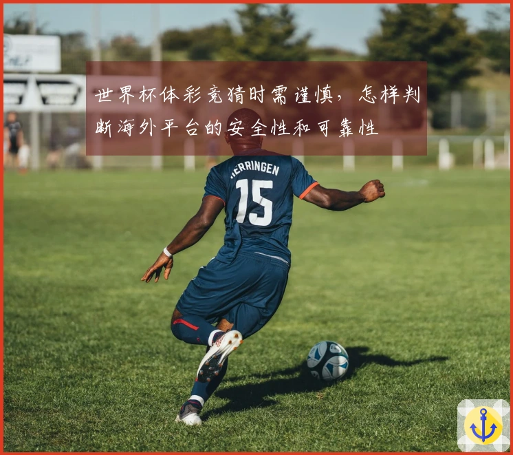 世界杯体彩竞猜时需谨慎,怎样判断海外平台的安全性和可靠性